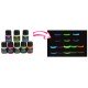 PENTART FARBA GLOW 30 ml LILA