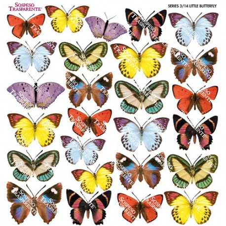SOSPESO FOLIA NADRUKOWANA LITTLE BUTTERFLY