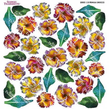 SOSPESO-FOLIA NADRUKOWANA PRIMULA SIROCCO