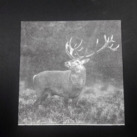 SERWETKA EX- JELEŃ NA RYKOWISKU