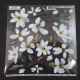SOSPESO FOLIA NADRUKOWANA WHITE MAGNOLIA
