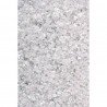 PENTART PŁATKI GALAXY 15g BIAŁE MERCURY WHITE