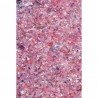 PENTART PŁATKI GALAXY 15g CZERWONE JUNO ROSE