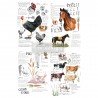 PRIMA DECOR TRANSFERS 24x35" FARM LIFE