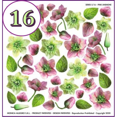 SOSPESO FOLIA NADRUKOWANA PINK ANEMONE