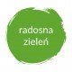 COLOP PODUSZKA PIGMENTOWA 50mm*90mm RADOSNA ZIELEŃ