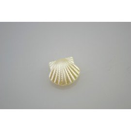 SZTUKA ZD MUSZELKI 16x15mm PERŁOWE 20szt