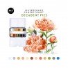 PRIMA WATERCOLOR DECADENT PIES 12 KOLORÓW W METALOWYM PUDEŁKU