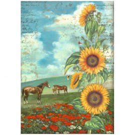 STAMPERIA PAPIER RYŻOWY A4 SUNFLOWER ART KONIKI