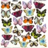 SOSPESO FOLIA NADRUKOWANA COLORFUL BUTTERFLY