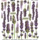 SOSPESO FOLIA NADRUKOWANA LAVENDER