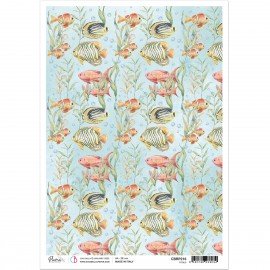 CB OUTLET PAPIER RYŻOWY A4 FISHES