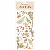 STAMPERIA RUB-ON TRANSFER 10x 21,6cm WOODLAND LISTKI