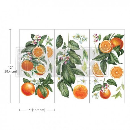 PRIMA DECOR TRANSFERS 3 CZĘŚCI PO 15x32,5cm CITRUS SLICE