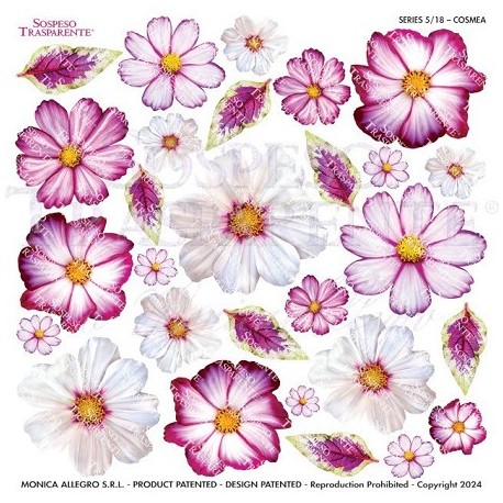 SOSPESO FOLIA NADRUKOWANA COSMEA