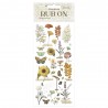 STAMPERIA RUB-ON TRANSFER 10x 21,6cm GARDEN ROŚLINKI