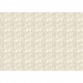 CB PAPIER 69x49cm HOME DECO 40g Antique Linen Lace