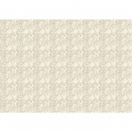 CB PAPIER 69x49cm HOME DECO 40g Antique Linen Lace