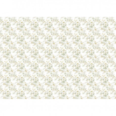 CB PAPIER 69x49cm HOME DECO 40g Pure Elegance