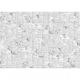 CB PAPIER 69x49cm HOME DECO 40g News