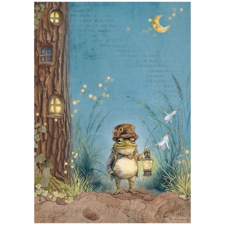 STAMPERIA PAPIER RYŻOWY A4 HIDDEN GROVE PAN ŻABA