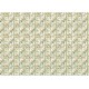 CB PAPIER 69x49cm HOME DECO 40g Eden