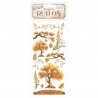 STAMPERIA RUB-ON TRANSFER 10x WHISPERING WOODS DĄB