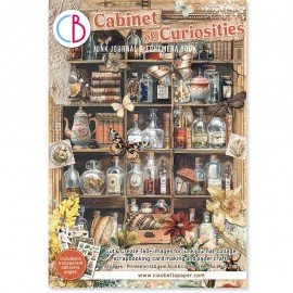 CB EPHEMERA BOOK A4 CABINET OF CURIOSITY (32szt)
