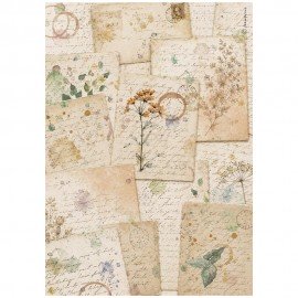 STAMPERIA PAPIER RYŻOWY A4 FLOWERS AND POEMS BOTANIK