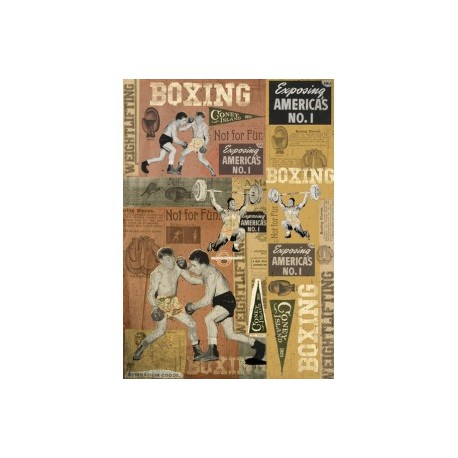 STAMPERIA PAPIER 50x70 BOKS*