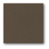 STAMPERIA KARTON 30x30 210g KAWA