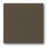 STAMPERIA KARTON 30x30 210g KAWA