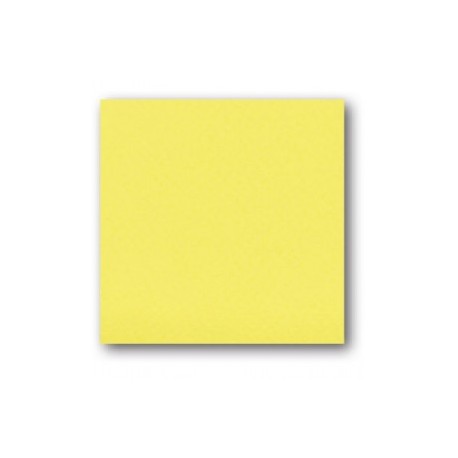 STAMPERIA KARTON 30x30 160g SŁONECZNY