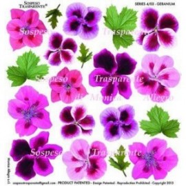 SOSPESO FOLIA NADRUKOWANA GERANIUM