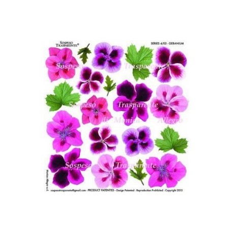 SOSPESO FOLIA NADRUKOWANA GERANIUM