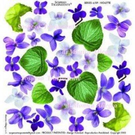 SOSPESO FOLIA NADRUKOWANA VIOLETTE