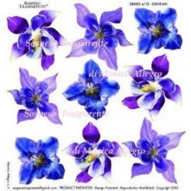 SOSPESO FOLIA NADRUKOWANA GENTIAN