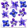 SOSPESO FOLIA NADRUKOWANA GENTIAN