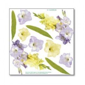 SOSPESO FOLIA NADRUKOWANA GLADIOLI