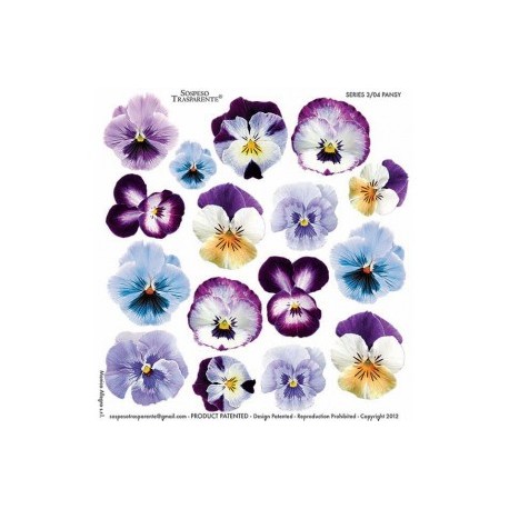 SOSPESO FOLIA NADRUKOWANA PANSY