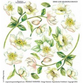 SOSPESO FOLIA NADRUKOWANA HELLEBORUS