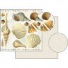 STAMPERIA PAPIER SCRAP 30x30 DWUSTRONNY MUSZLA