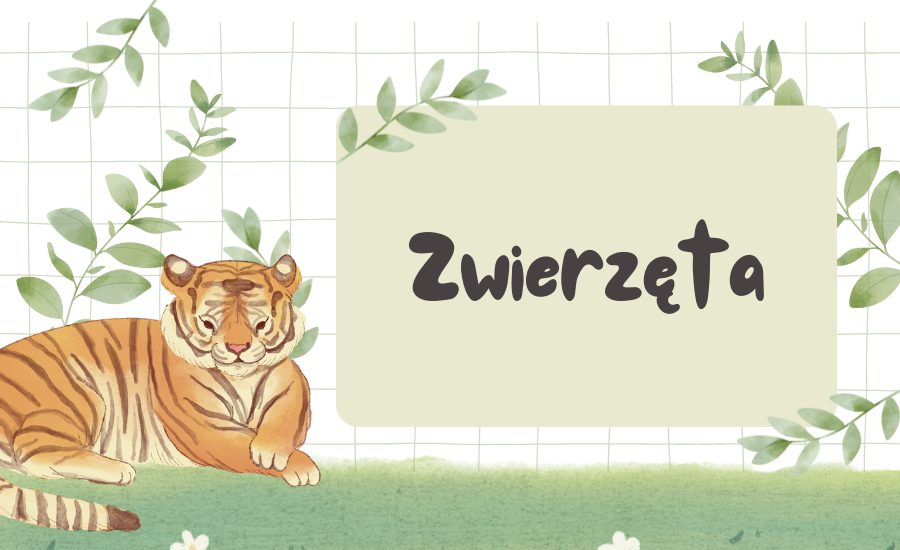 ESTATE-ZWIERZĘTA